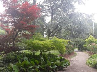 Villa Brama - Legnago - 8