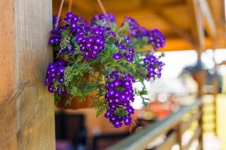 U Marleny - Ustka - 2