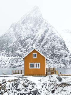 The Famous Yellow House - Reine - 1