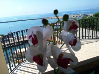 Guest House Domus Cicerone - Formia - 8
