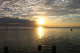Las Puertas 201 - South Padre Island - 1