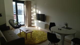 New apartment opposite to Presidential palace - 9