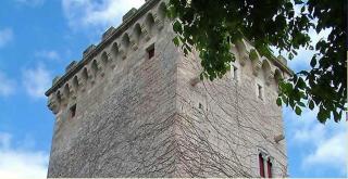 Chateau d'Hordosse - Andiran - 3