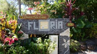 La Case Floria - Saint-André - 9