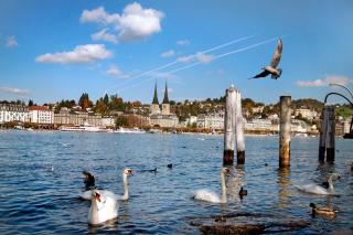 Hotel Münzgasse - Self Check-in - Lucerna - 1