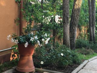 Residence Il Cavallino - Tirrenia - 7
