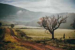Appelsbosch Guest Farm - Swellendam - 3