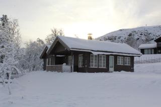 Bergestua - 4 bedroom cabin - Golsfjellet - 8