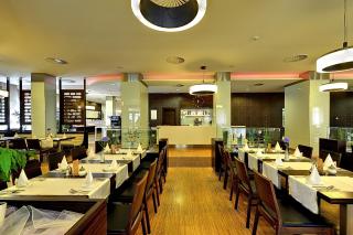 St. Joseph Royal Regent - 1