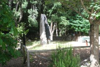 Hotel Bosco Selene - 4