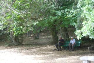 Hotel Bosco Selene - Lanusei - 3