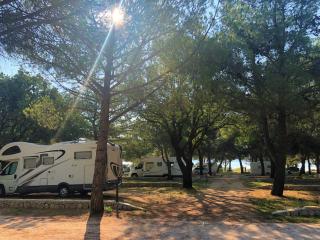 Camping Vransko jezero - Crkvine - Pakoštane - 1