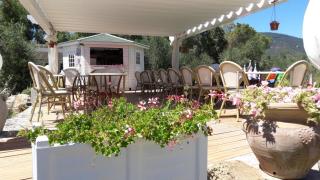 Residence Dolores - Marina di Campo - 1