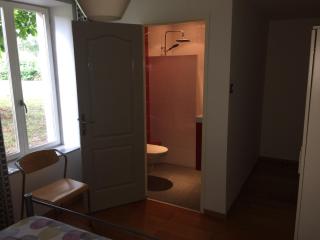 Le marronnier entre Les Buis - 4