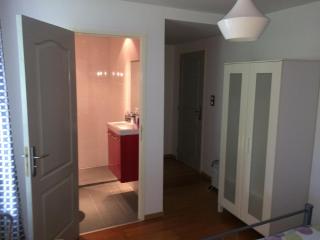 Le marronnier entre Les Buis - 5