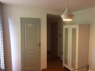 Le marronnier entre Les Buis - 6