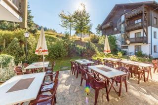 Apartman Šumava - Bavorský les - Mitterfirmiansreut - 1