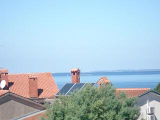 Purple house - 2