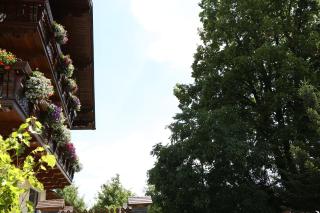 Appartments am Esslgut - Haus im Ennstal - 9