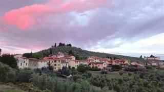 La Solaria - Carmignano - 6