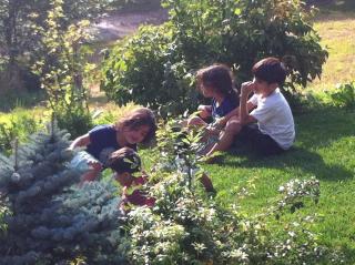 Appartementhaus Casamarai - 1