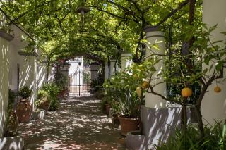 Elisir B&B - Anacapri - 4