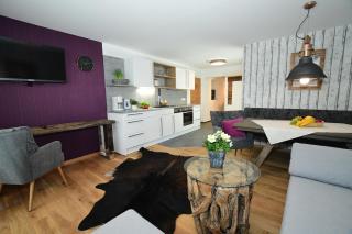 Alp-Chalet - Hirschegg - 3