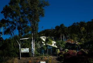 Backpackers By The Bay - Airlie Beach - 9