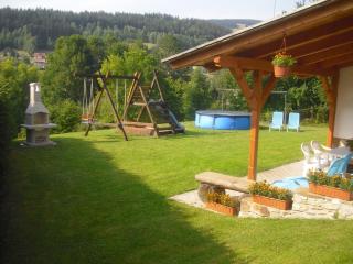 Privat SKI Erlebach - Rokytnice nad Jizerou - 4