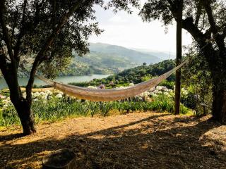 Casa da Mouta - Douro Valley - Baião - 7