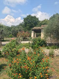 Villa du Sud - Vence - 4