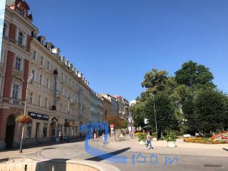 Royal apartment - Karlovy Vary - 8