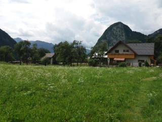 Apartmaji Bremec - Bohinj - 7