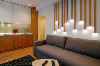 Arbans Cosy Modern Apartment in the city center - Bucharest - 5