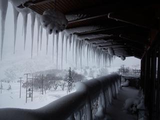 Hotel Metoxi - Spiliá - 5