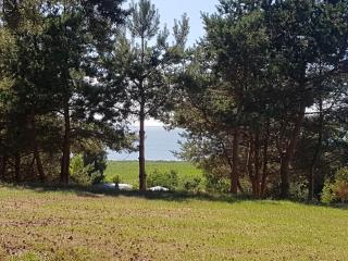 Bungalow Ückeritz - Ückeritz - 5