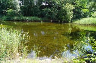Ferienwohnung Rehagen Süd - Mellensee - 2