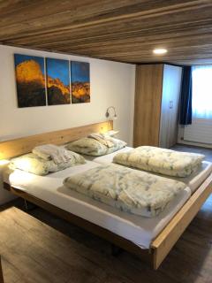 Hotel Restaurant Simplon - Frutigen - 7