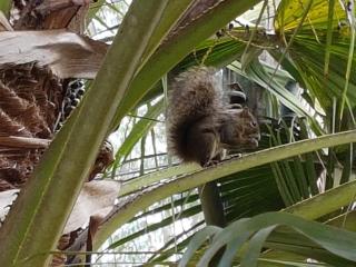 Paz e Aconchego. - 7