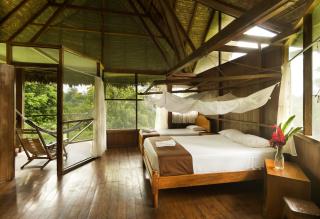 Wasai Tambopata Lodge - Tambopata - 5