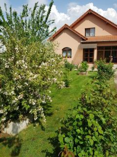 Casa Daria - Haţeg - 9