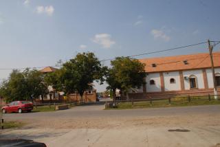 Picture 6