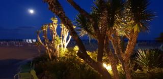 Villa Argentina - San Felice Circeo - 6