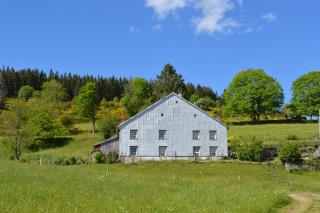viaux-fontaine - Saulxures-sur-Moselotte - 7