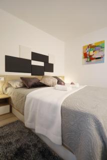 SeNs Apartments by Belmont Realty - 1