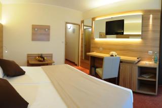 Hotel Panorama - 8