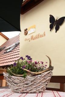 Ferienappartement Balik - Bad Staffelstein - 7