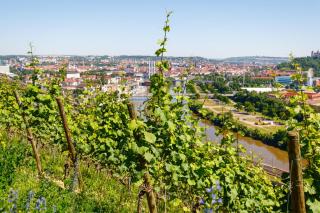 Schlosshotel Steinburg - Würzburg - 6