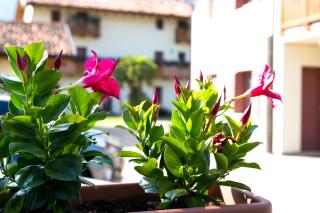 Albergo Diffuso Polcenigo B.Vittorio - 7