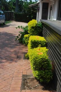 de Charmoy Riverside - Durban - 4